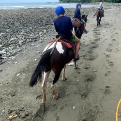 Horseback Riding Tours - Puerto Jimenez (Puerto Jiménez)