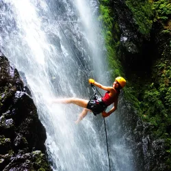 Horseback Riding Tours - Puerto Jimenez (Puerto Jiménez)