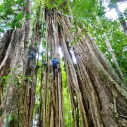 Horseback Riding Tours - Puerto Jimenez (Puerto Jiménez)