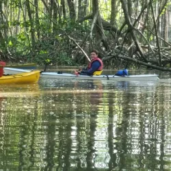 Kayaking and Paddleboarding Tours - Puerto Jimenez (Puerto Jiménez)