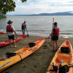 Kayaking and Paddleboarding Tours - Puerto Jimenez (Puerto Jiménez)