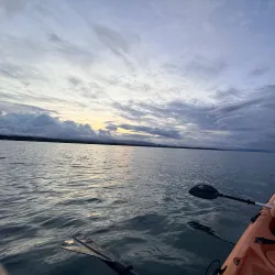 Kayaking and Paddleboarding Tours - Puerto Jimenez (Puerto Jiménez)