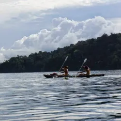 Kayaking and Paddleboarding Tours - Puerto Jimenez (Puerto Jiménez)