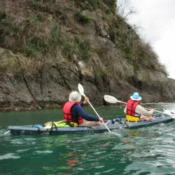 Kayaking and Paddleboarding Tours - Puerto Jimenez (Puerto Jiménez)