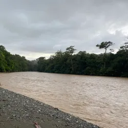 Osa Wildlife Sanctuary - Puerto Jimenez (Puerto Jiménez)