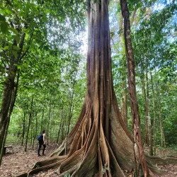 Osa Wildlife Sanctuary - Puerto Jimenez (Puerto Jiménez)