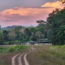 Osa Wildlife Sanctuary - Puerto Jimenez (Puerto Jiménez)