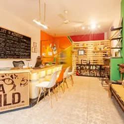 Osa Wildlife Sanctuary - Puerto Jimenez (Puerto Jiménez)