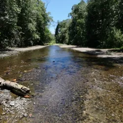 Piedras Blancas National Park - Puerto Jimenez (Puerto Jiménez)