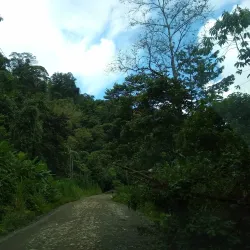 Piedras Blancas National Park - Puerto Jimenez (Puerto Jiménez)