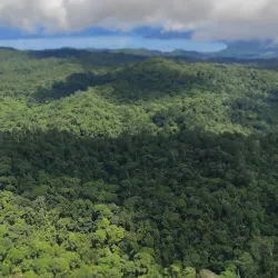 Piedras Blancas National Park - Puerto Jimenez (Puerto Jiménez)