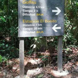 Piedras Blancas National Park - Puerto Jimenez (Puerto Jiménez)