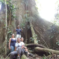 Piedras Blancas National Park - Puerto Jimenez (Puerto Jiménez)