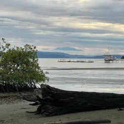 Puerto Jiménez Beach - Puerto Jimenez (Puerto Jiménez)