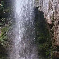 Puerto Jiménez Beach - Puerto Jimenez (Puerto Jiménez)
