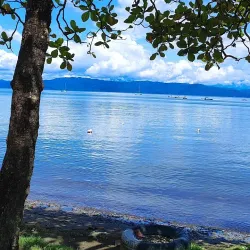 Puerto Jiménez Beach - Puerto Jimenez (Puerto Jiménez)