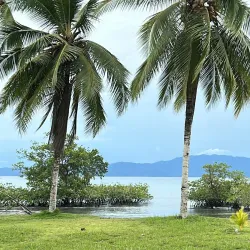Puerto Jiménez Beach - Puerto Jimenez (Puerto Jiménez)