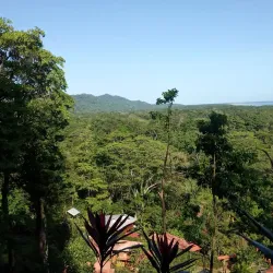 Black Rock Beach (Playa Negra) - Puerto Viejo - de Talamanca