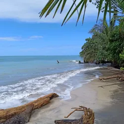Cahuita National Park - Puerto Viejo - de Talamanca