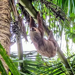 Cahuita National Park - Puerto Viejo - de Talamanca