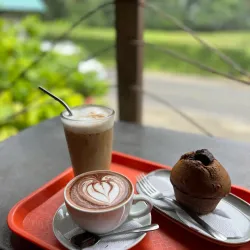 Chocolate Tour - Puerto Viejo - de Talamanca