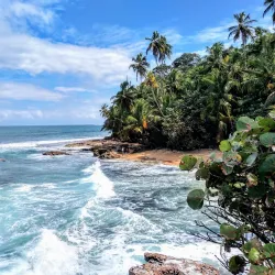 Gandoca-Manzanillo Wildlife Refuge - Puerto Viejo - de Talamanca