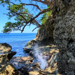 Gandoca-Manzanillo Wildlife Refuge - Puerto Viejo - de Talamanca