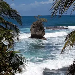 Gandoca-Manzanillo Wildlife Refuge - Puerto Viejo - de Talamanca