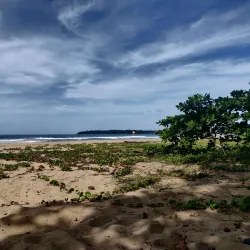 Gandoca-Manzanillo Wildlife Refuge - Puerto Viejo - de Talamanca