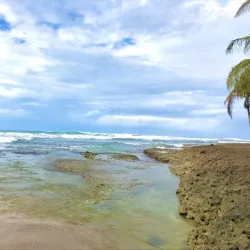 Playa Cocles - Puerto Viejo - de Talamanca