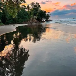 Playa Cocles - Puerto Viejo - de Talamanca
