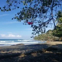 Playa Cocles - Puerto Viejo - de Talamanca