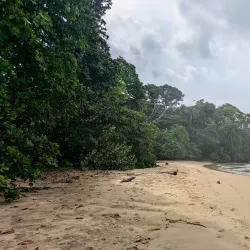Playa Cocles - Puerto Viejo - de Talamanca