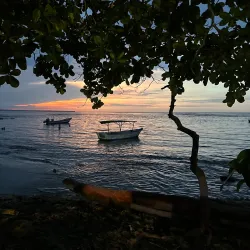 Puerto Viejo Beach - Puerto Viejo - de Talamanca