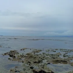 Puerto Viejo Beach - Puerto Viejo - de Talamanca
