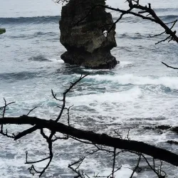 Puerto Viejo Beach - Puerto Viejo - de Talamanca