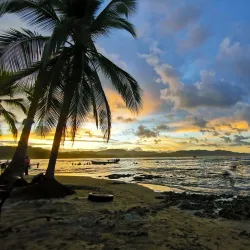 Puerto Viejo Nightlife - Puerto Viejo - de Talamanca