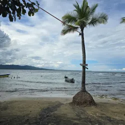 Puerto Viejo Nightlife - Puerto Viejo - de Talamanca
