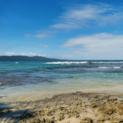 Puerto Viejo Nightlife - Puerto Viejo - de Talamanca
