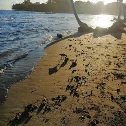 Talamanca Mountains - Puerto Viejo - de Talamanca