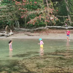 Talamanca Mountains - Puerto Viejo - de Talamanca