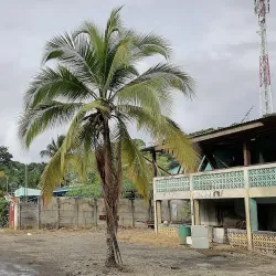 Talamanca Mountains - Puerto Viejo - de Talamanca