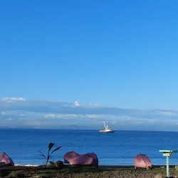 Caldera Port - Puntarenas