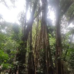 Carara National Park - Puntarenas