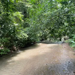 Carara National Park - Puntarenas