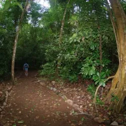 Carara National Park - Puntarenas