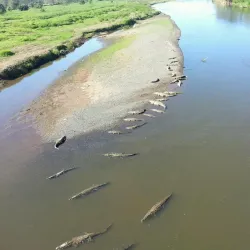 Carara National Park - Puntarenas