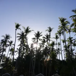 Isla Tortuga - Puntarenas