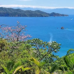 Isla Tortuga - Puntarenas