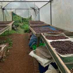 La Iguana Chocolate Factory - Puntarenas